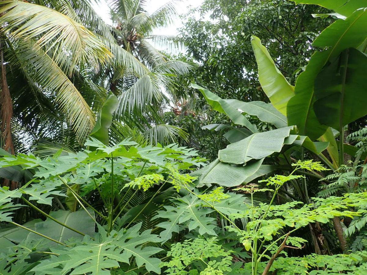 Fuvahmulah Inn 외부 사진