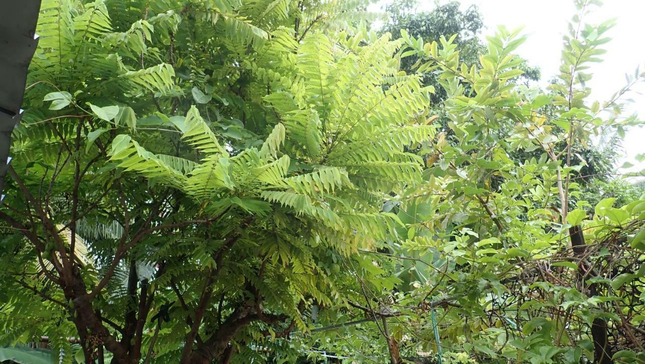 Fuvahmulah Inn 외부 사진