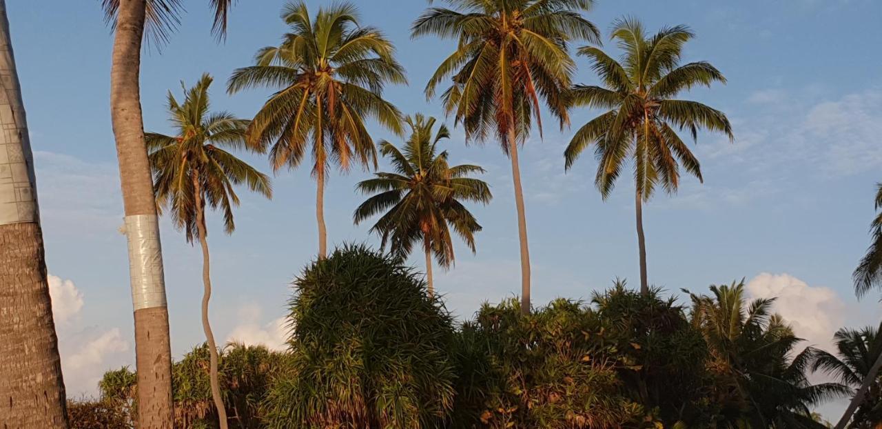 Fuvahmulah Inn 외부 사진